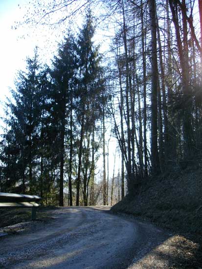 Passeggiata  verso Col Fiorito