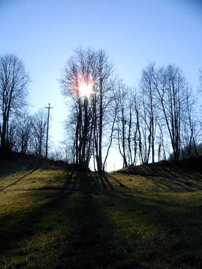 Gioco di luci a San Michele